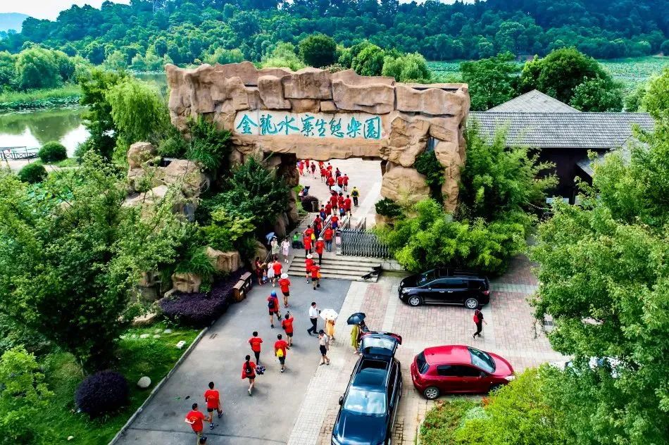 神农架金龙迷雾丨自然界的奇迹与谜团