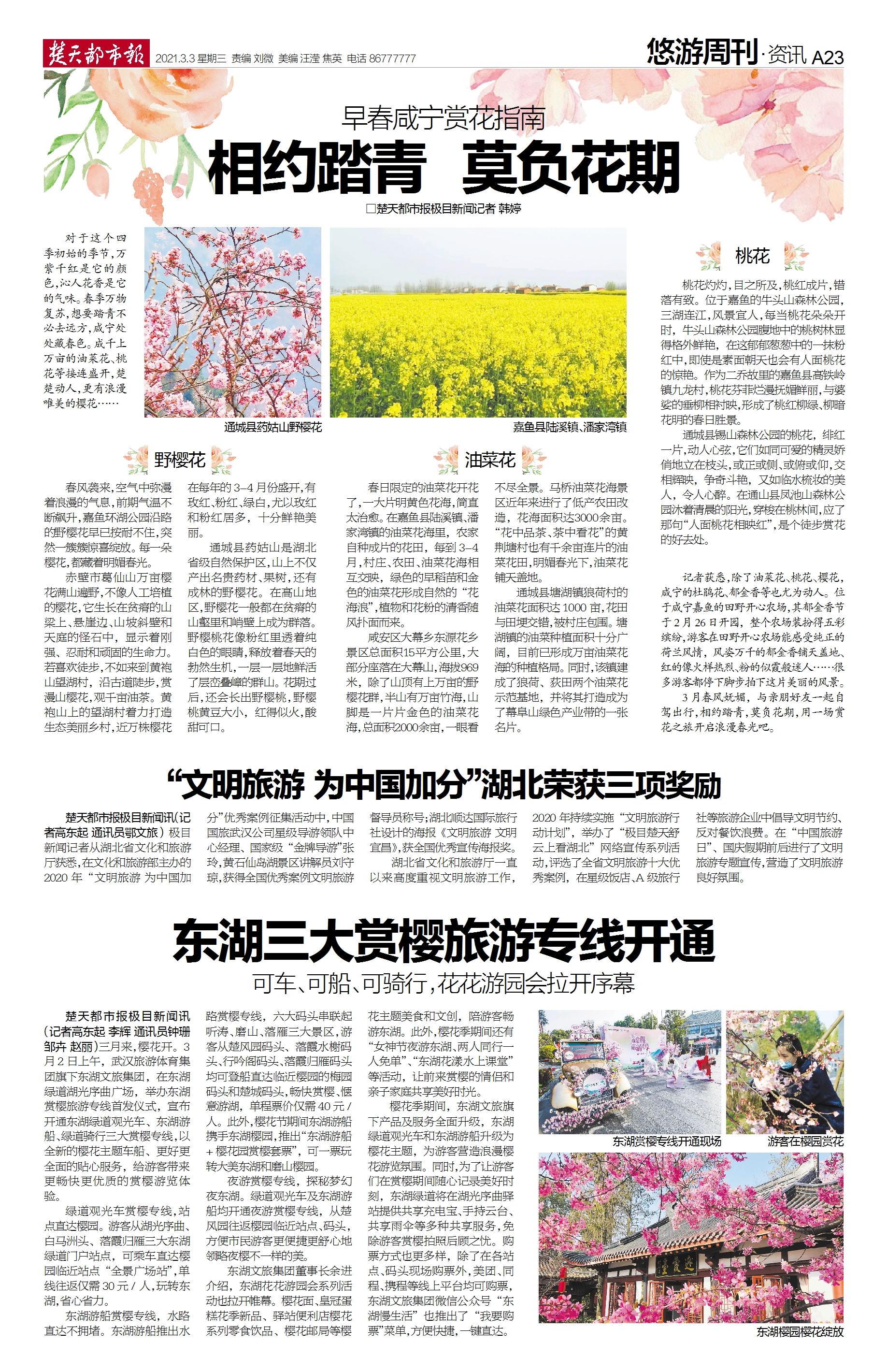 楚天都市报.jpg
