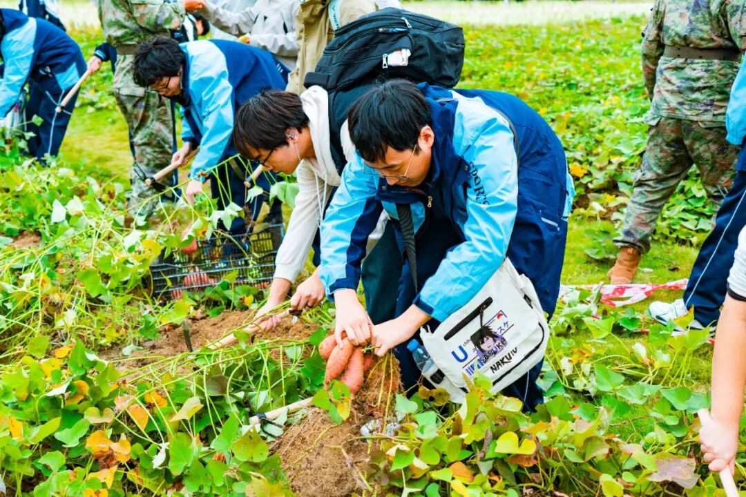 研学挖红薯.jpg